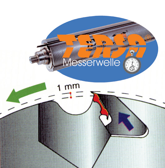 Holzkraft / SCM fs41e TERSA